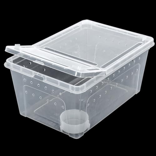 ReptiZoo RT2016M Kunststoffterrarium Medium Wasserschale
