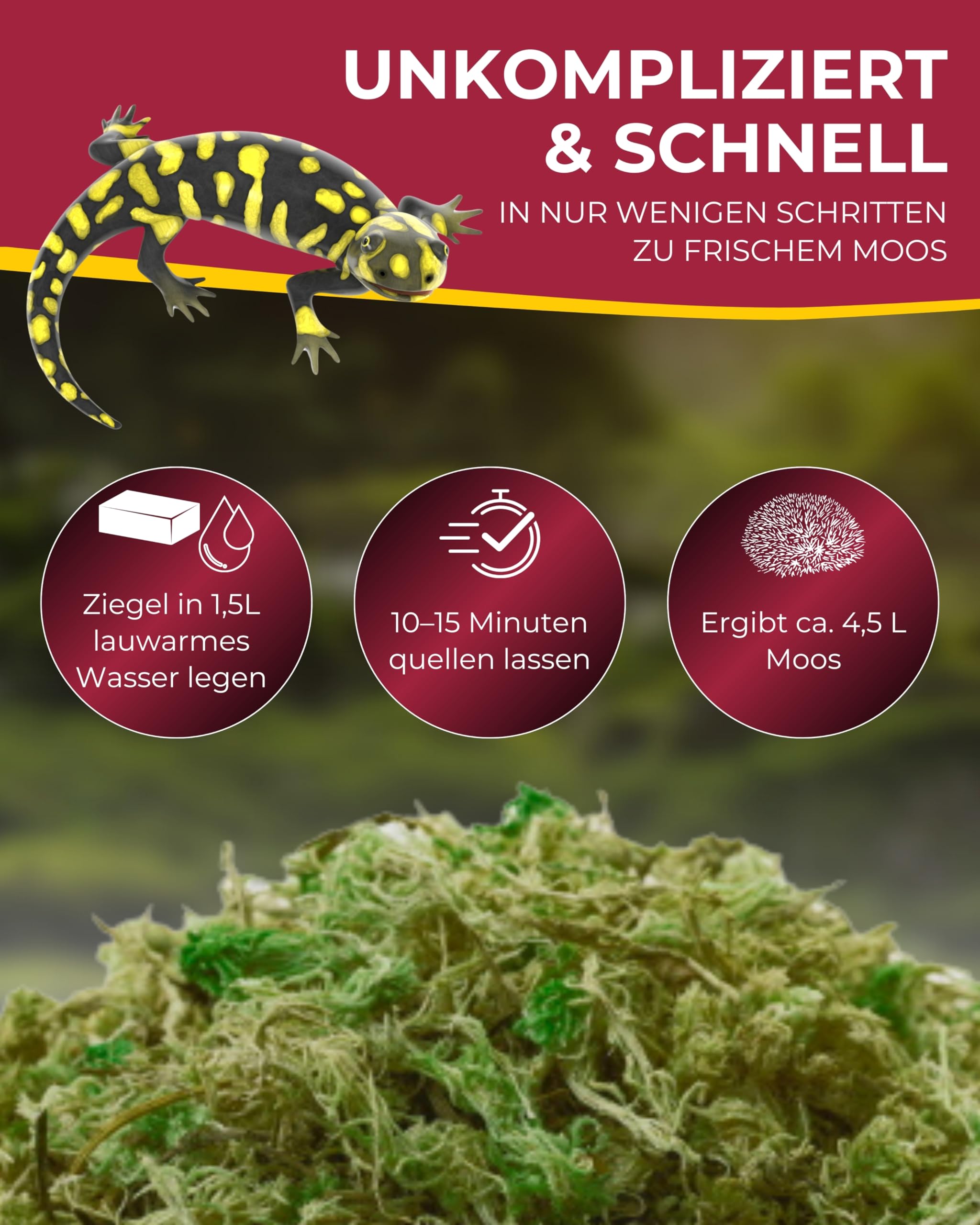 Hobby Natural Moss Terrarienmoos 100 g natürlich feuchtigkeitsbindend