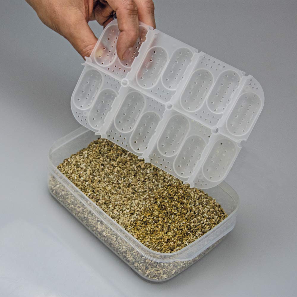 Hobby Easy Breeder Box Brutbox für 14 Eier