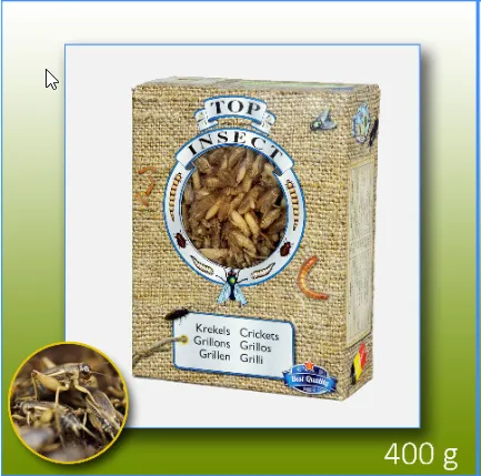 intipa Grillen Futterinsekten 400 g Frostfutter