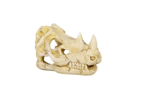 ReptiZoo ERS35 Nashornschädel Versteck M 17,5 cm