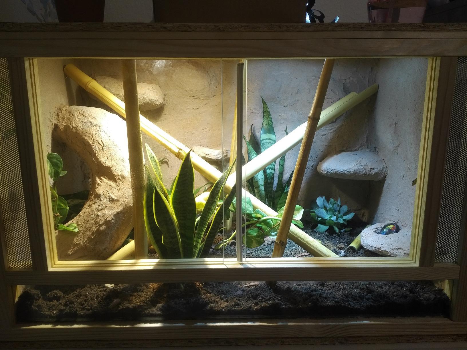 Repiterra Terrarium 80x50x50 cm Frontbelüftung Holzterrarium