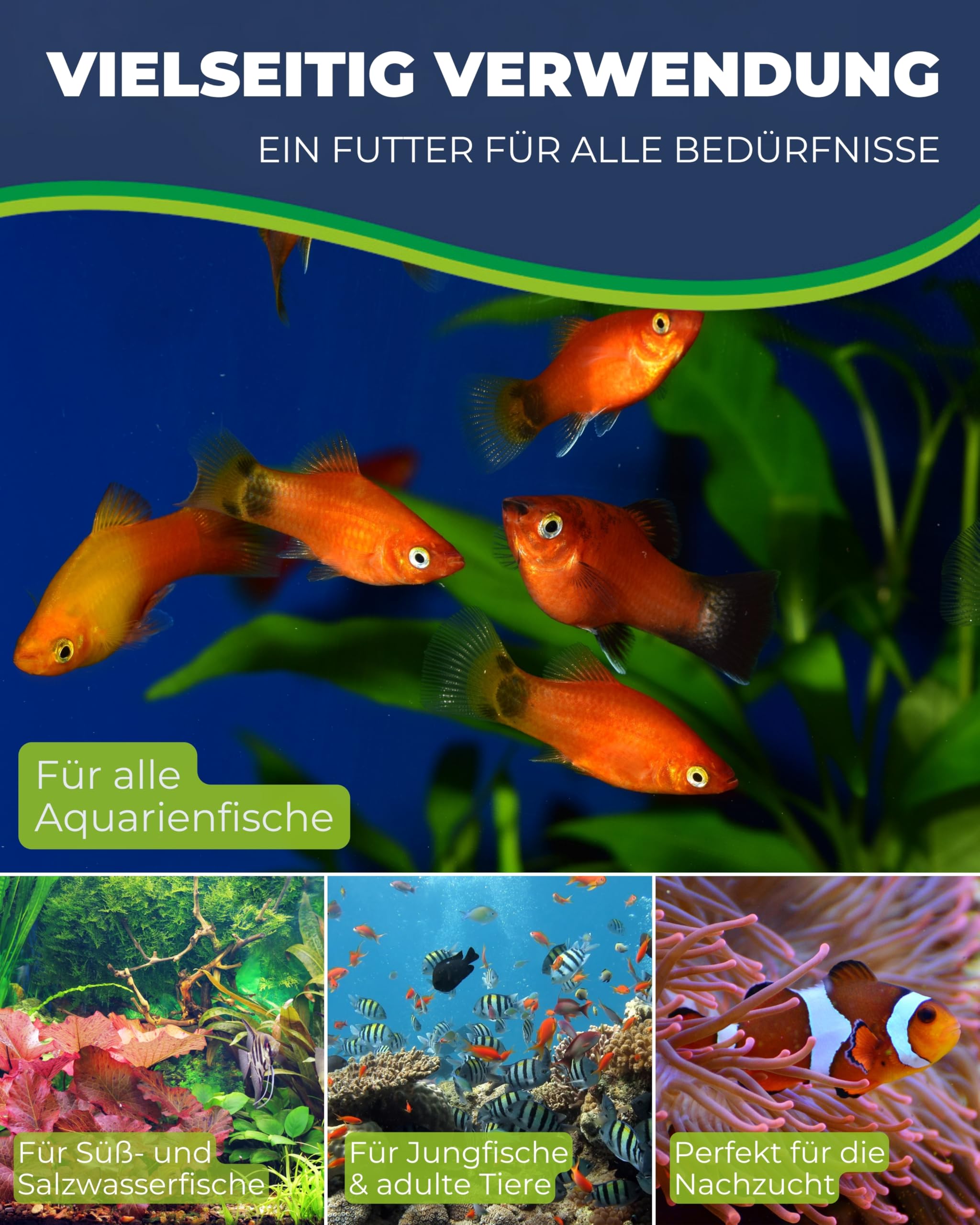 Hobby Mikrozell I Artemia-Aufzuchtfutter 20 ml Phytoplankton