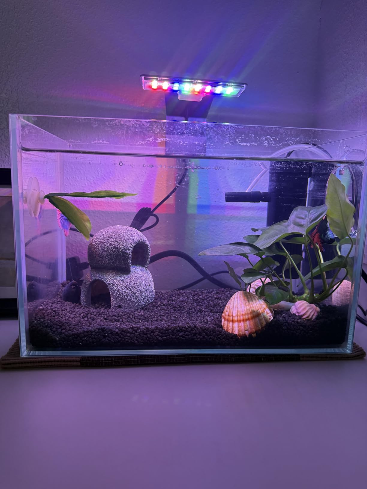 Hobby Marble Cave 2 Aquariumhöhle 8,5x9,5x8,5 cm Kunstharz