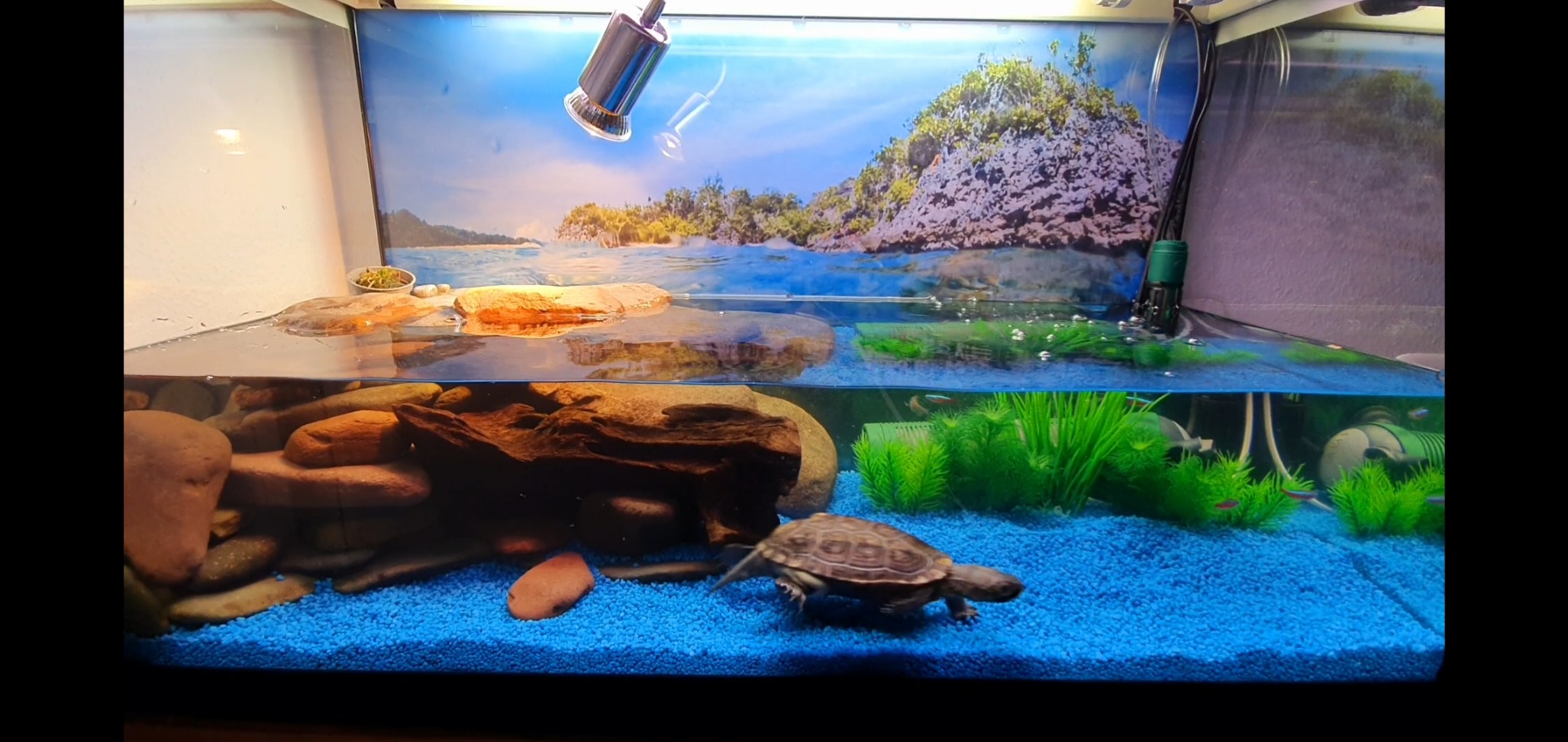 Hobby Turtle Clear Granulat 150 g Wasserpflege geruchsfrei
