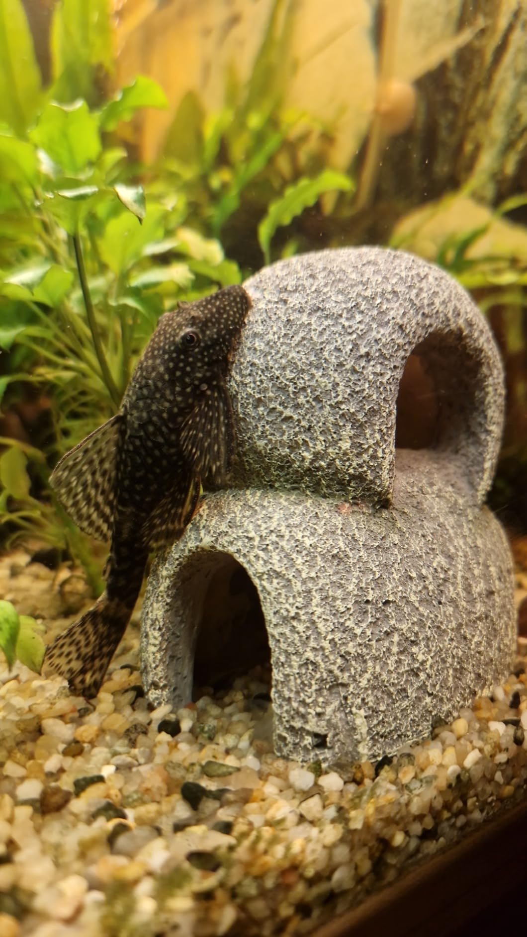 Hobby Marble Cave 2 Aquariumhöhle 8,5x9,5x8,5 cm Kunstharz