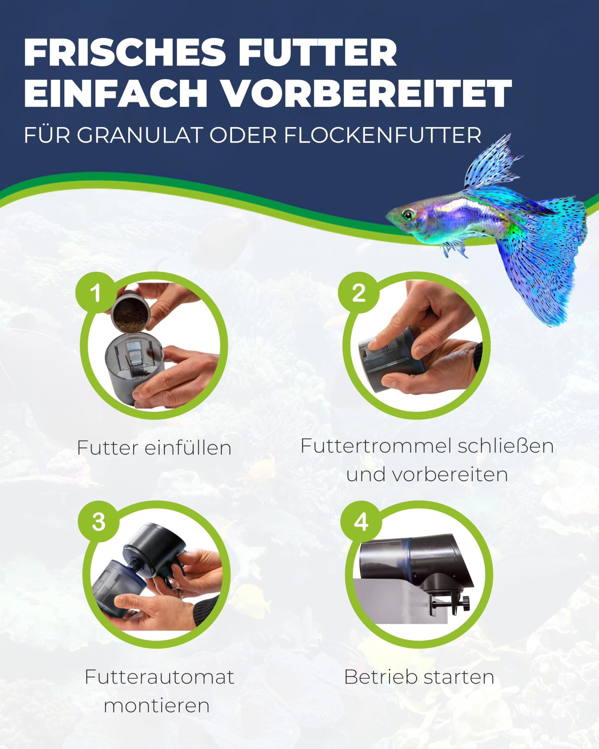Hobby Easy Feeder Futterautomat 100 g programmierbar