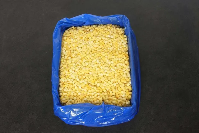 intipa Mango Fruchtfutter 10 kg getrocknet