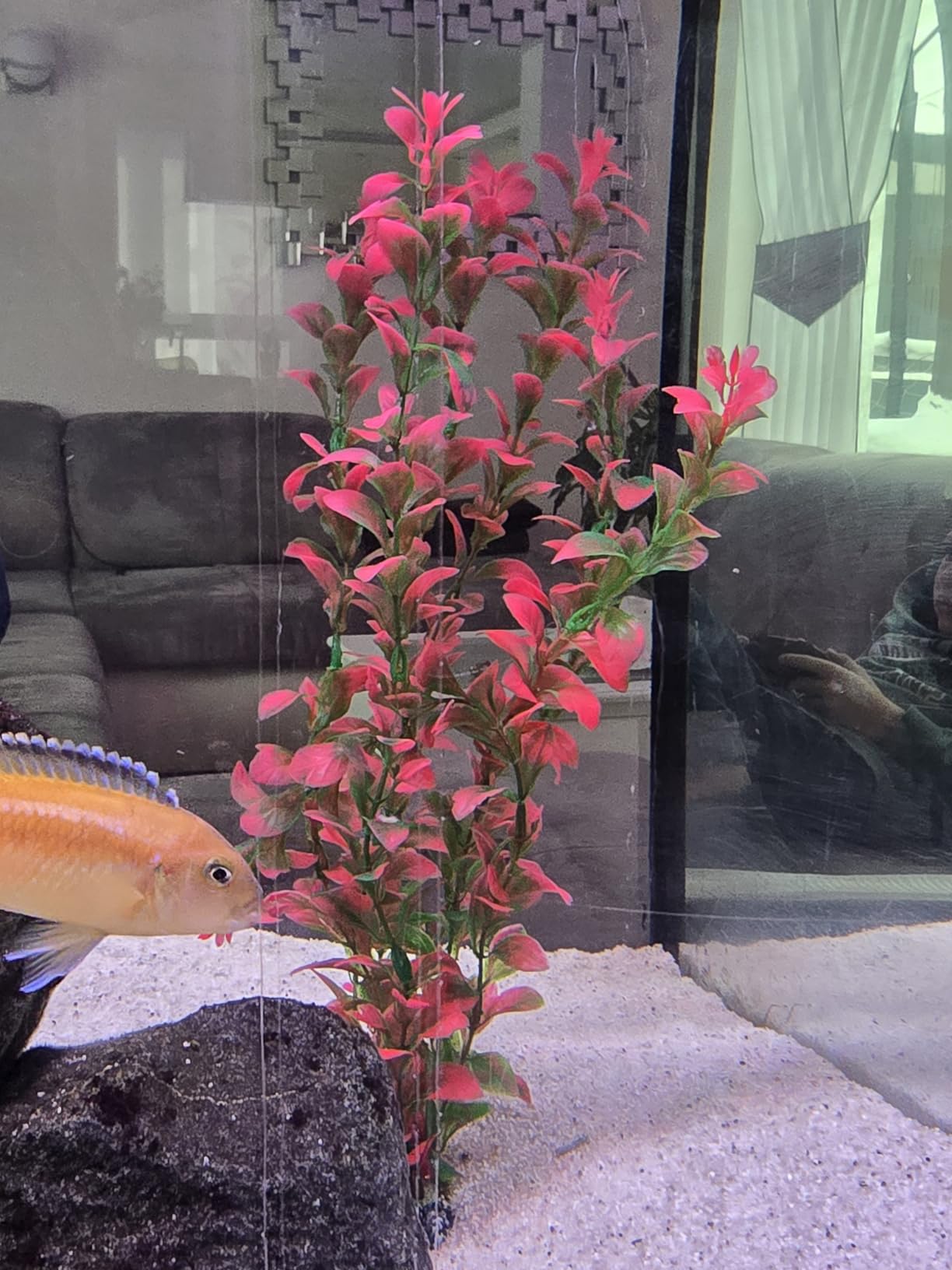 Hobby Ludwigia Kunstpflanze 60 cm Aquaristik Felsen
