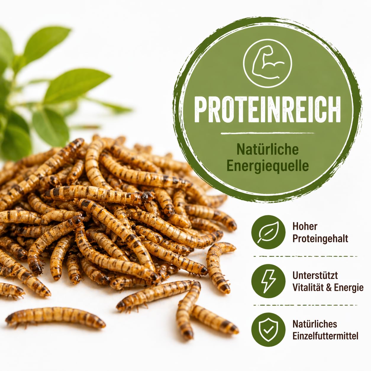 Terrabest Feeders & More Mehlwürmer 520 ml proteinreich