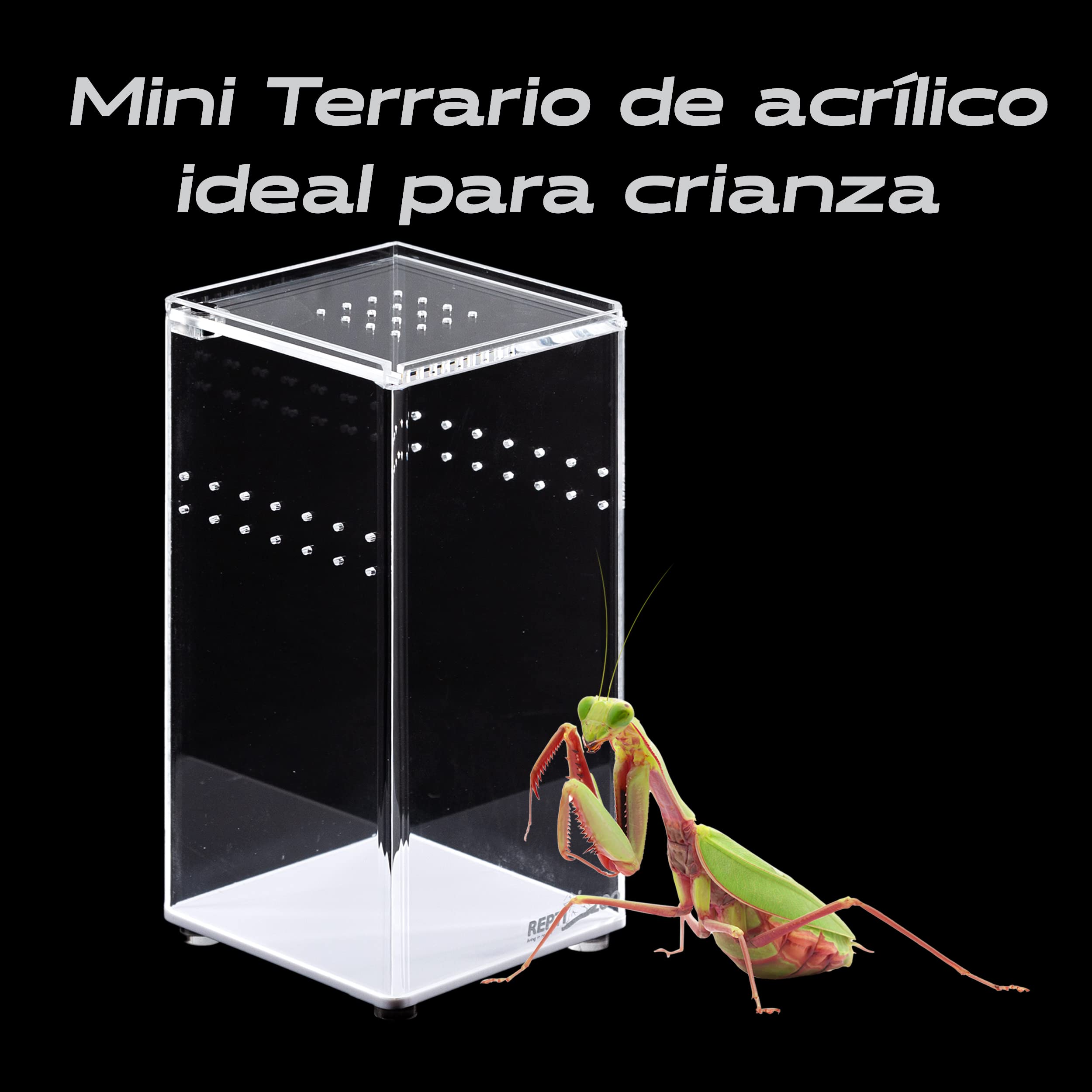 Repti Zoo Acryl-Terrarium 7,5x7,5x15 cm transparent