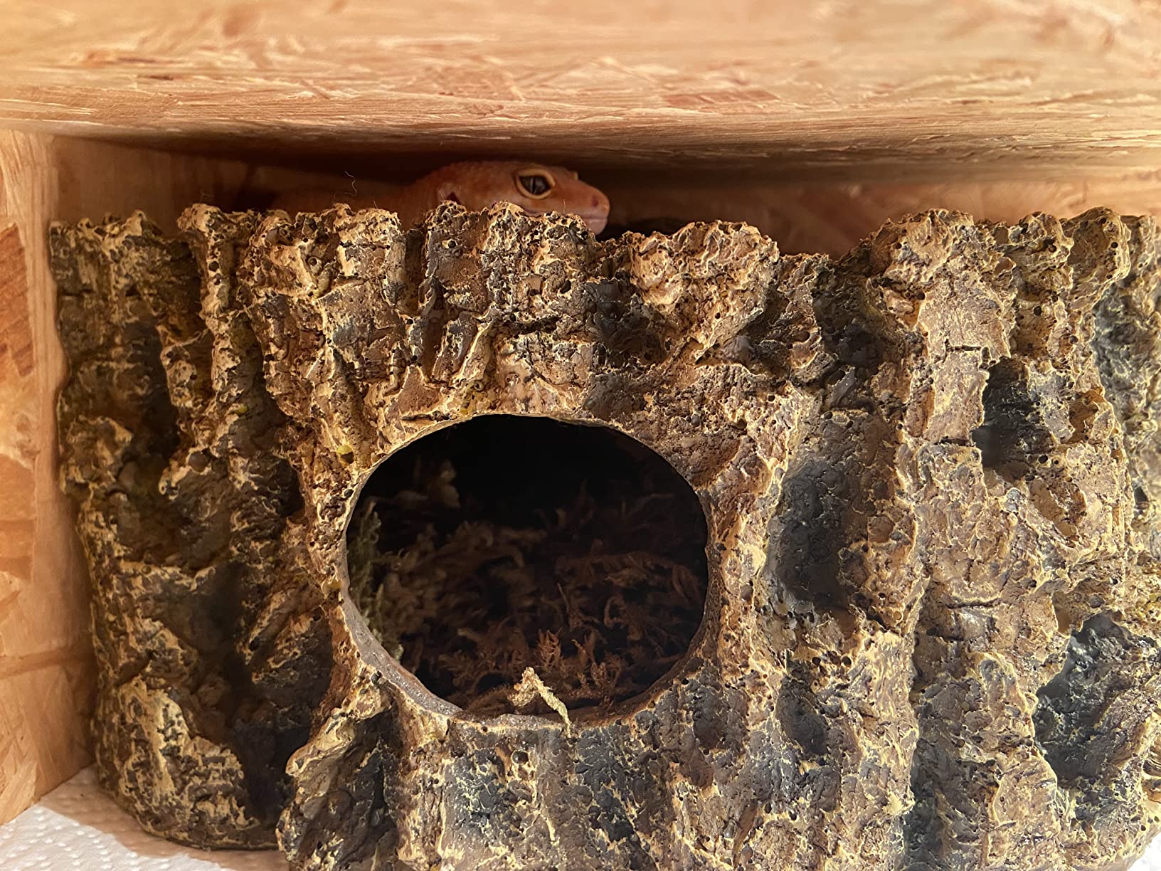 Hobby Bark I Eckhöhle Terrarium 21x15x11 cm naturnah