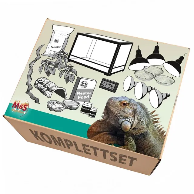 M&S Reptilien Komplettset Leguan Terrarium 182x61x91 cm RK0231