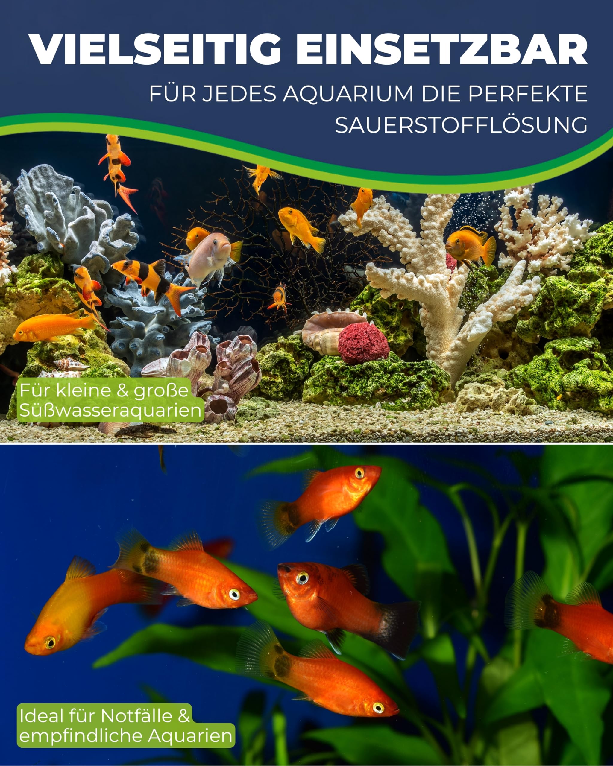 Hobby Oxyletten Sauerstoff-Tabletten 80 Stück Aquarium