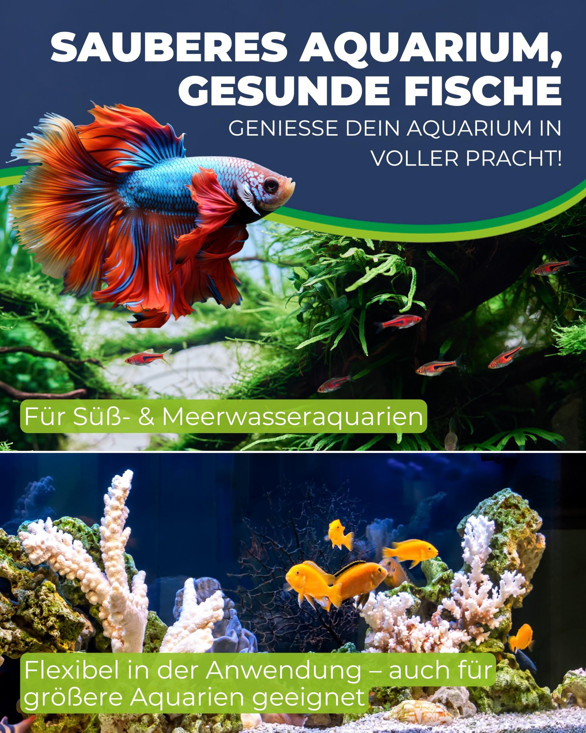 Hobby Mulm X Mulmglocke Bodenreinigung