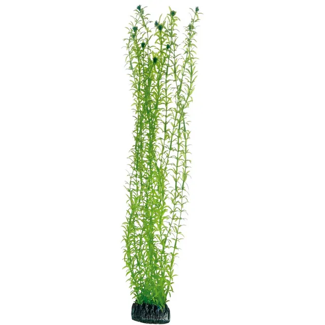 Hobby Lagarosiphon Kunstpflanze 60 cm wasserneutral