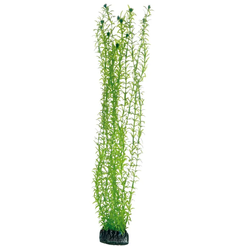 Hobby Lagarosiphon Kunstpflanze 60 cm wasserneutral