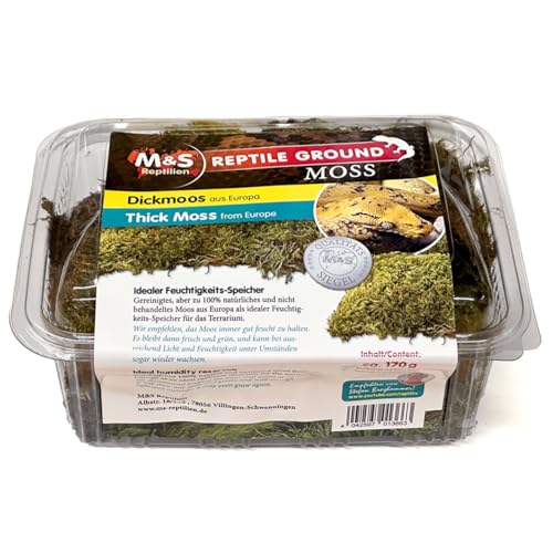 M&S Reptilien Dickmoos Moos 2,5 l feucht haltbar