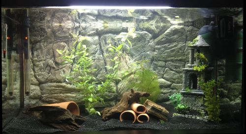 Hobby Catfish Cave M Welsröhre 4x12 cm Terrakotta