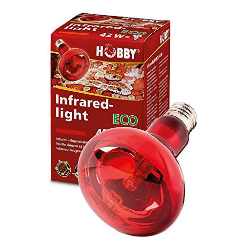 Hobby Infraredlight Eco Infrarotlampe 42W Wärme