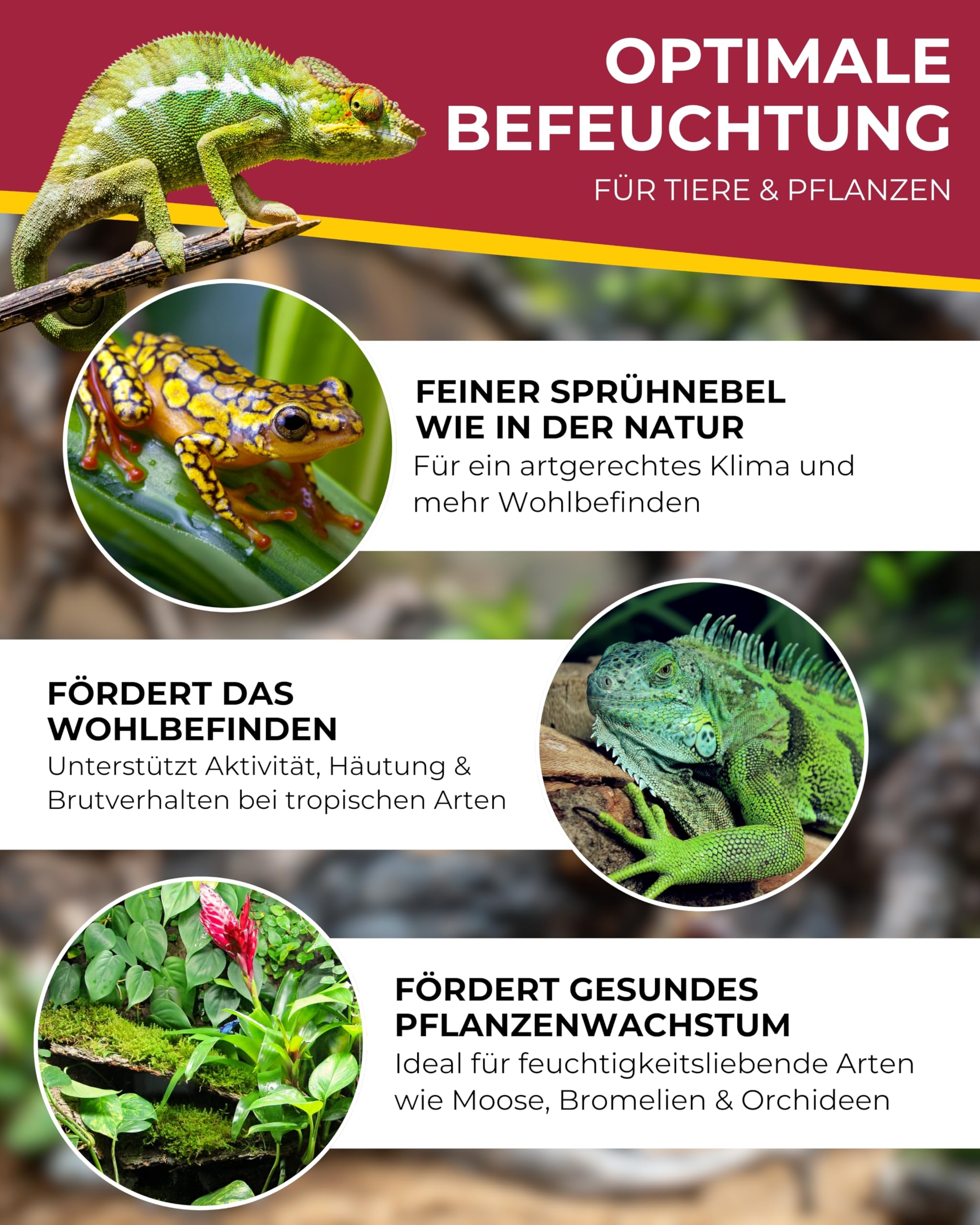 Hobby Foggy I Ultraschall-Nebler 50 ml für Terrarium