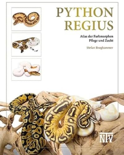 M&S Reptilien Python regius Atlas Buch Farbmorphen Terrarien