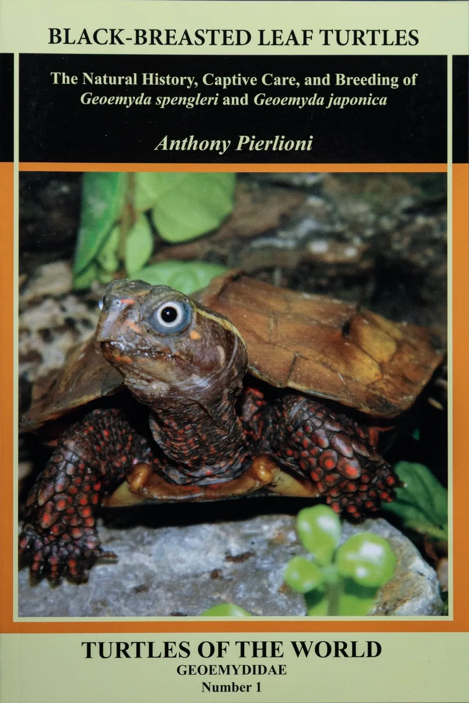 Zoo Med Buch Schwarzbrust-Blattschildkröte Haltung