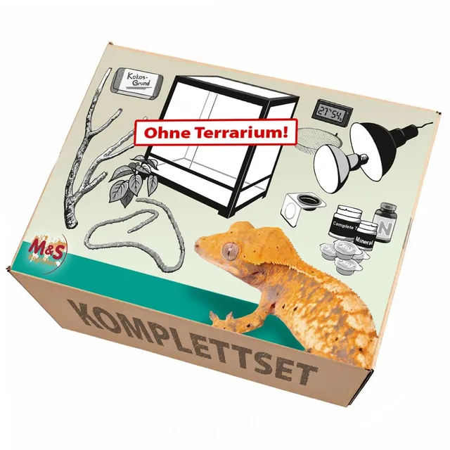 M&S Reptilien Komplettset Kronengecko XL Terrarium-Set ohne Becken
