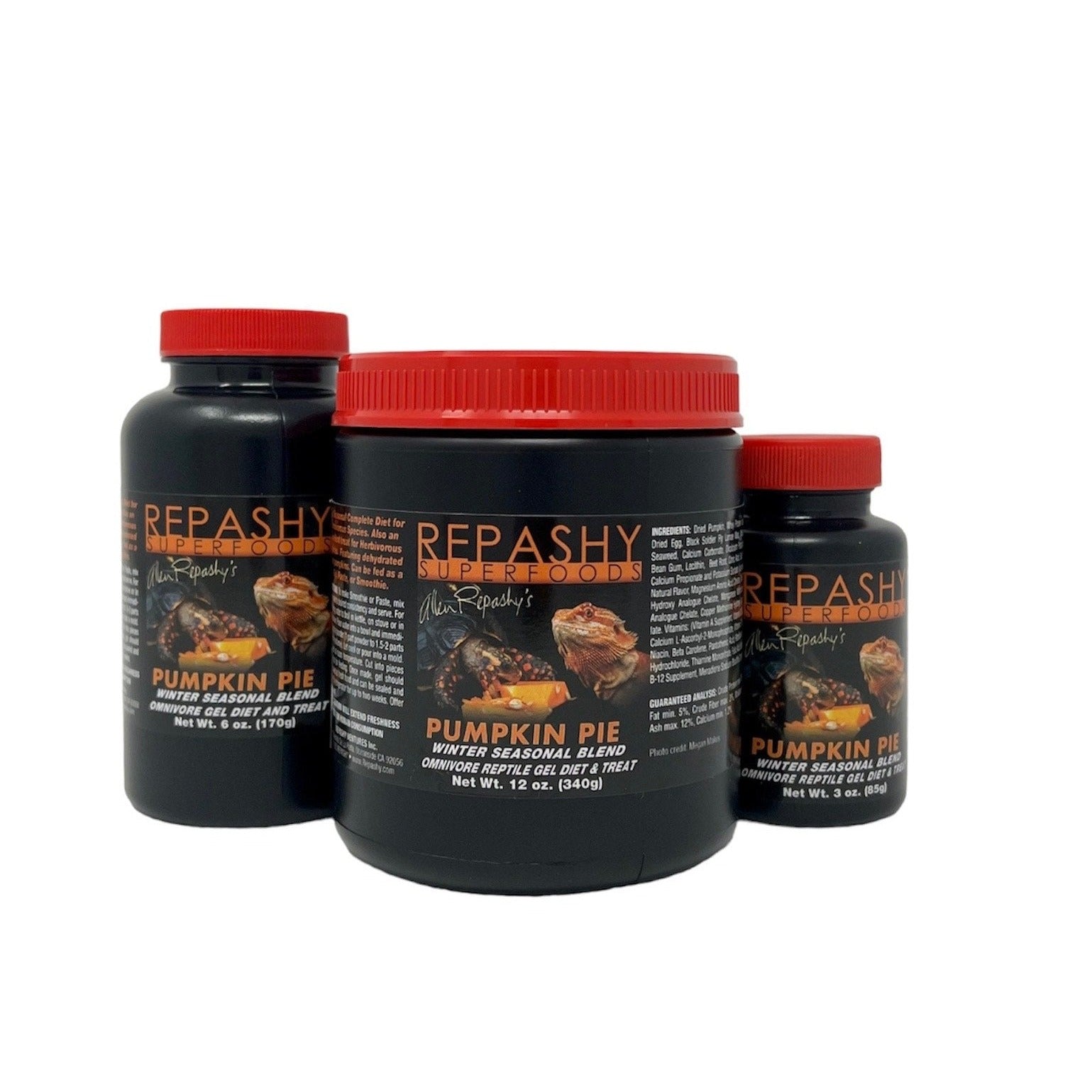 Repashy Pumpkin Pie 85g Gelfutter Kürbis Omnivore