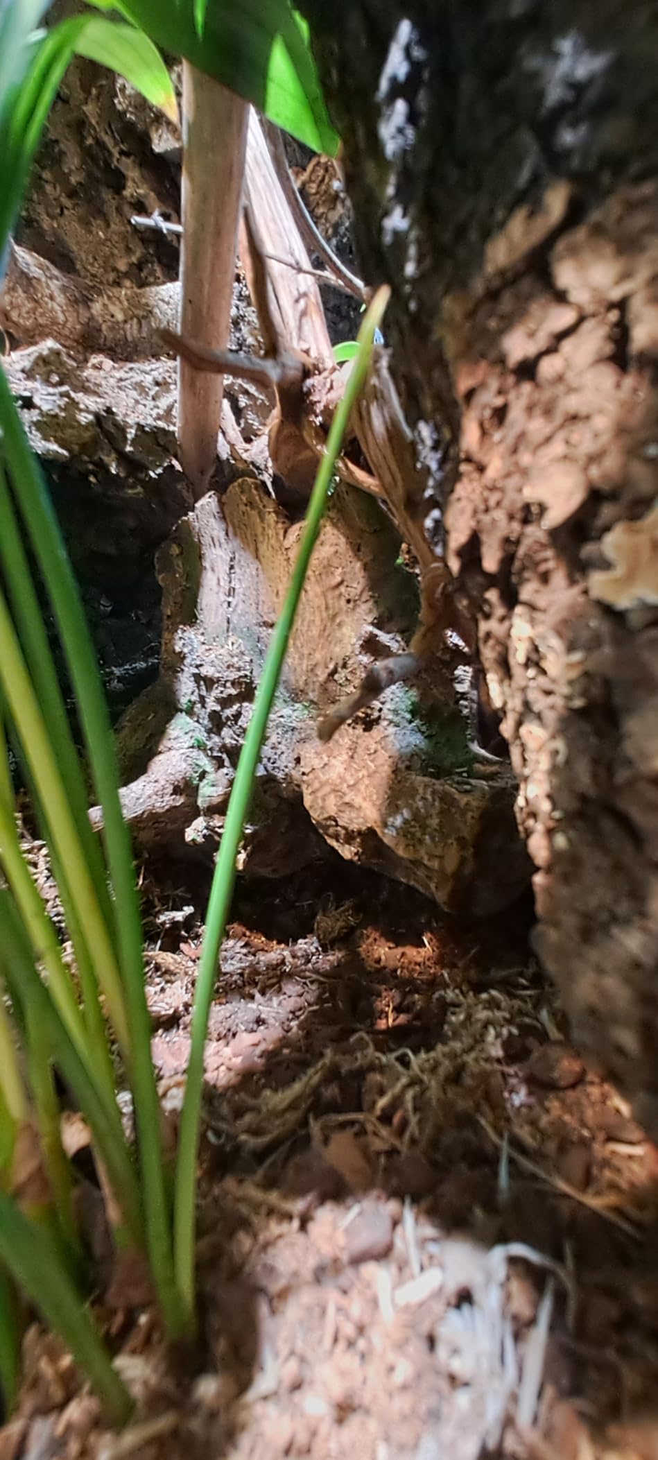 Hobby 41481 Baumstumpfhöhle 16,4 cm Deko Höhle naturnah