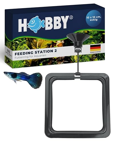 Hobby Feeding Station 2 Futterring eckig 10x10 cm mit Saugnapf