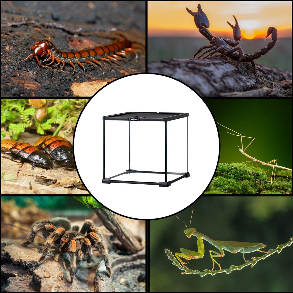 Repti Zoo Simple Habitat Terrarium 31x31x30 cm Futterloch