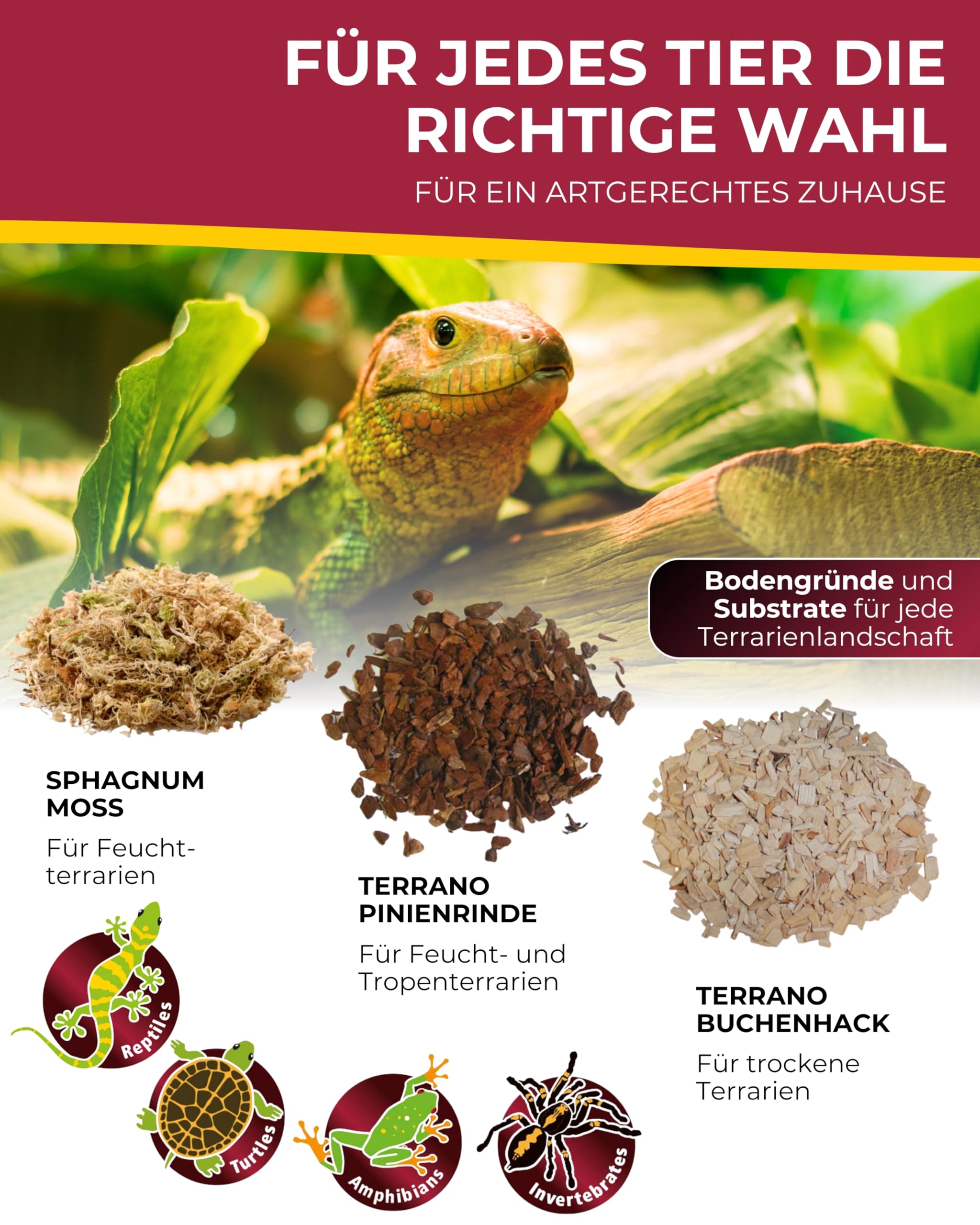Hobby Sphagnum Moss Terrarienmoos 100 g 4,5 l