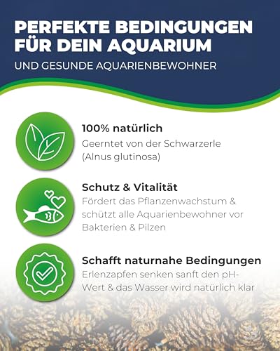 Hobby Alder Cones Erlenzapfen 50 Stück pH-senkend