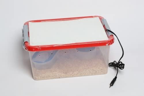 M&S Reptilien Jungschlangen Aufzuchtbox Komplettset 36 cm Box