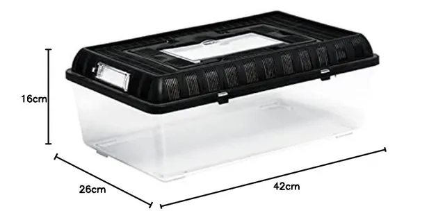 ReptiZoo RT2004B Plastik-Terrarium Flat Box Large 42x26x16 cm