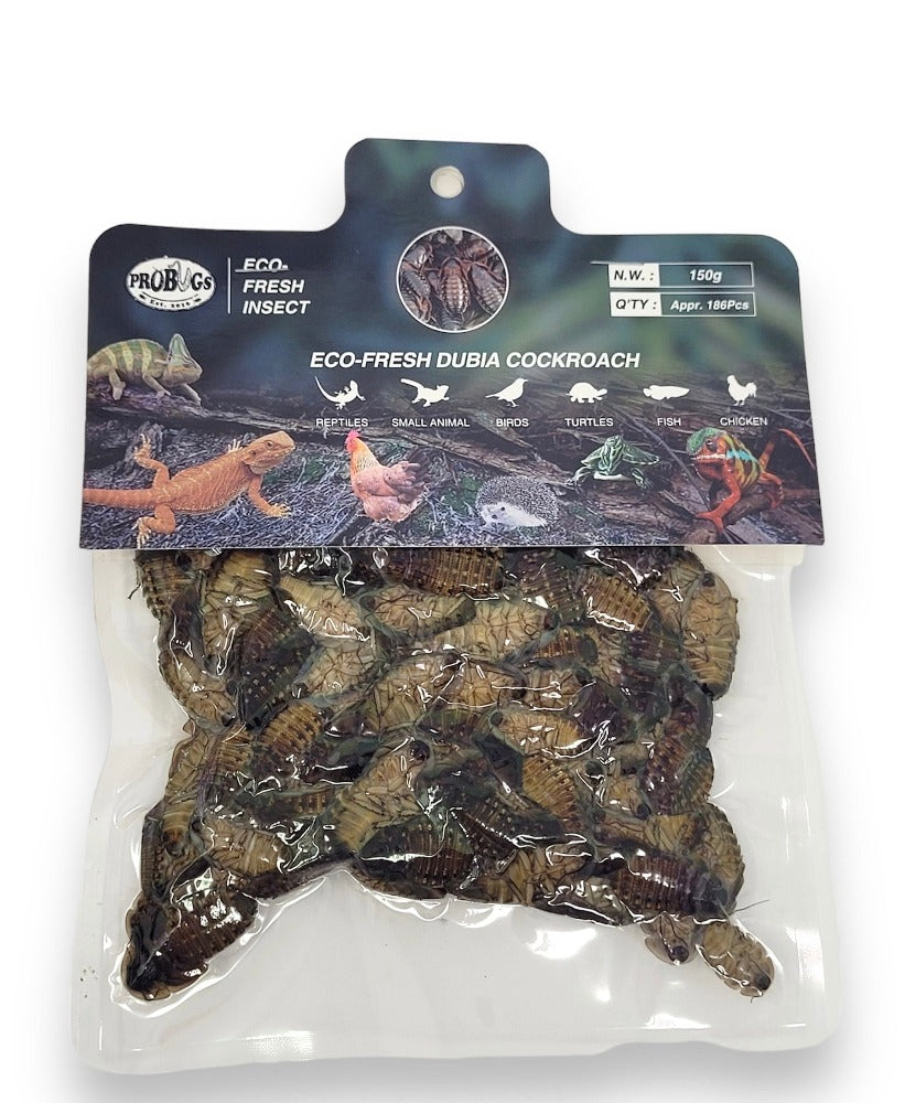 Repashy ProBugs Dubia Futterinsekten Bulk Bag 186 Stk
