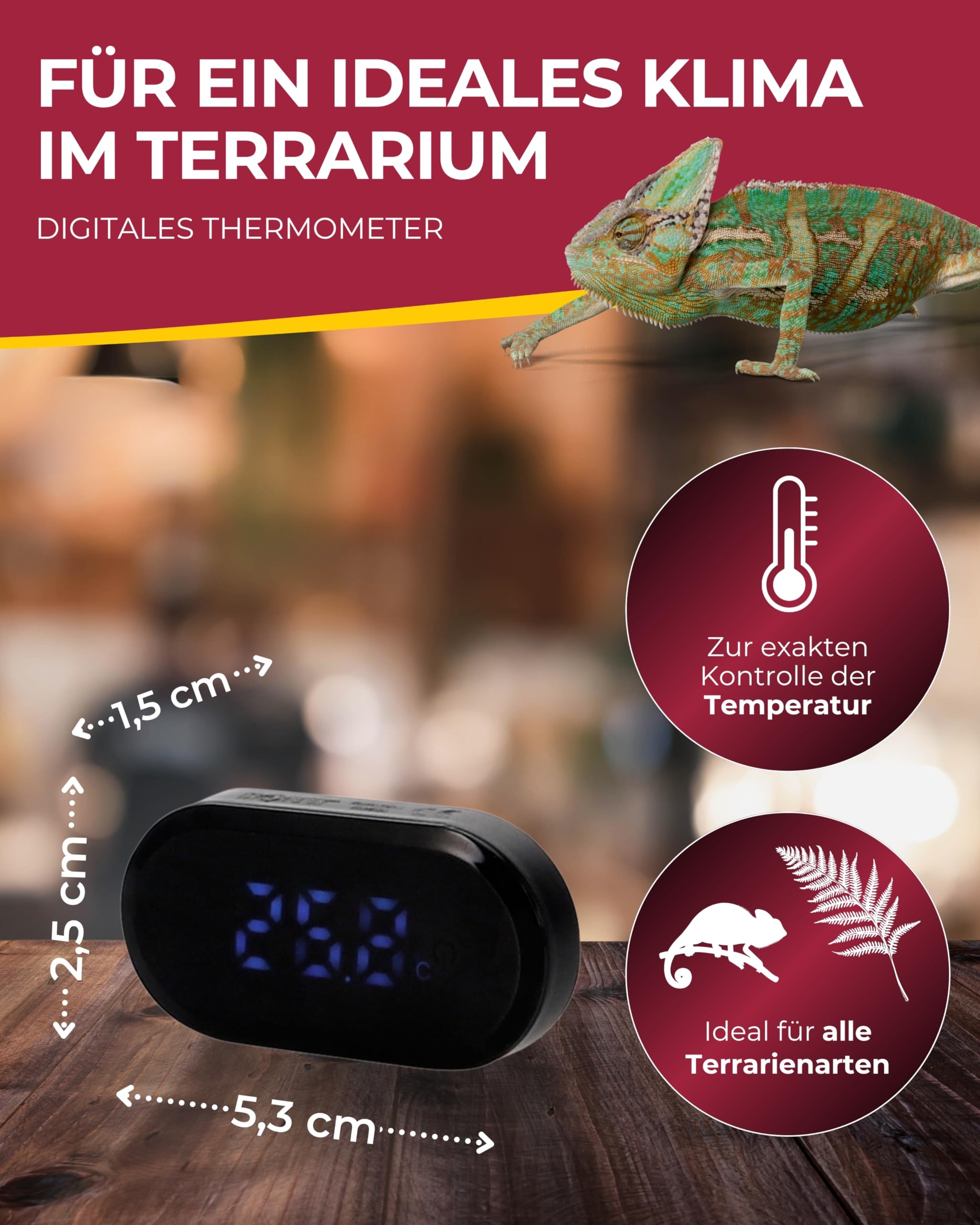 Hobby LED Thermometer digitales Thermometer mit Alarm