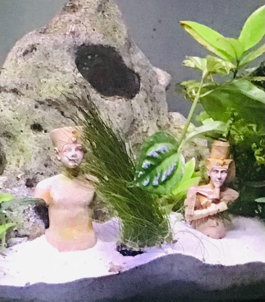 Hobby Vishnu Aquariumdeko 9x6,5x12,5 cm Polyresin