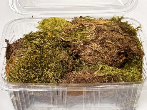 M&S Reptilien Dickmoos Moos 2,5 l feucht haltbar