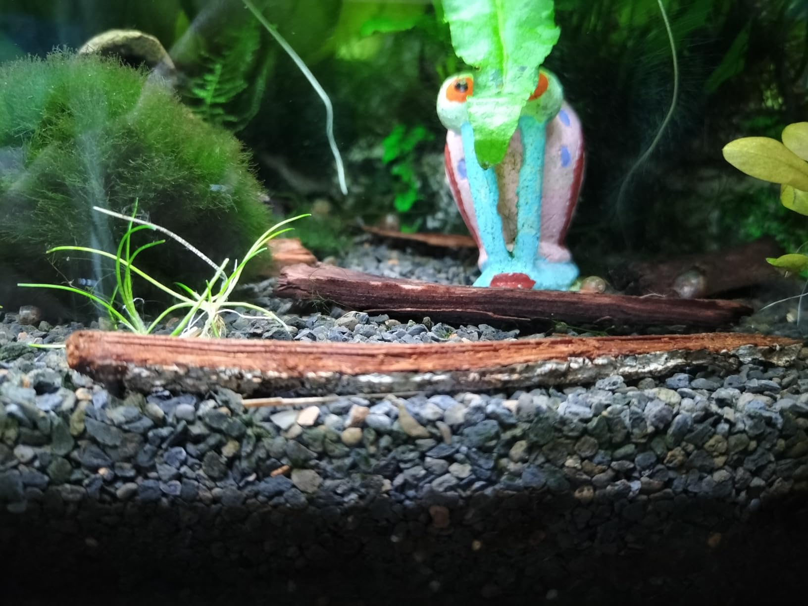 Hobby Aquaristik Catappa Bark Seemandelbaumrinde 12 Stück natürlich