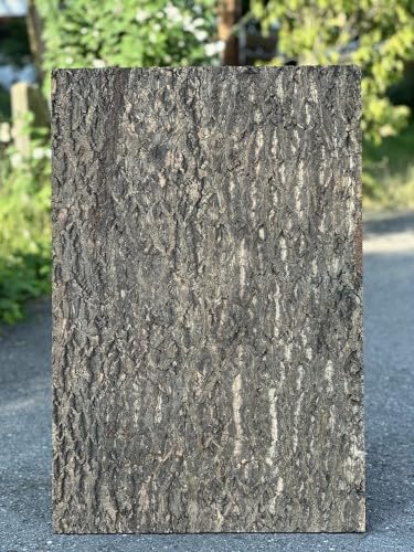 M&S Reptilien Nature Zierkorkrückwand 90x60x2 cm DPCT061