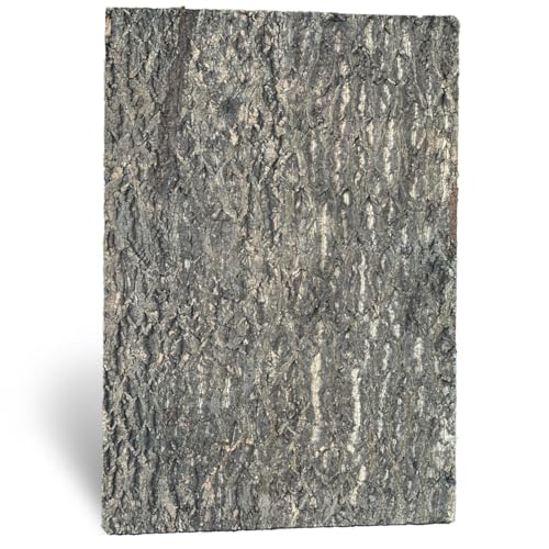M&S Reptilien Nature Zierkorkrückwand 90x60x2 cm DPCT061