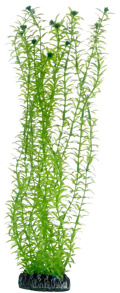 Hobby Lagarosiphon Kunstpflanze 60 cm wasserneutral