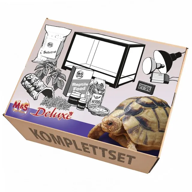 M&S Reptilien Komplettset Deluxe Landschildkröten Terrarium 120x45x60