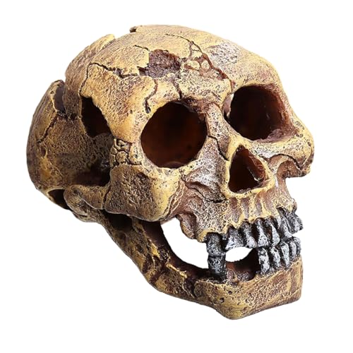 Repti Zoo ERS76 Versteckhöhle Totenkopf 16x11x11 cm