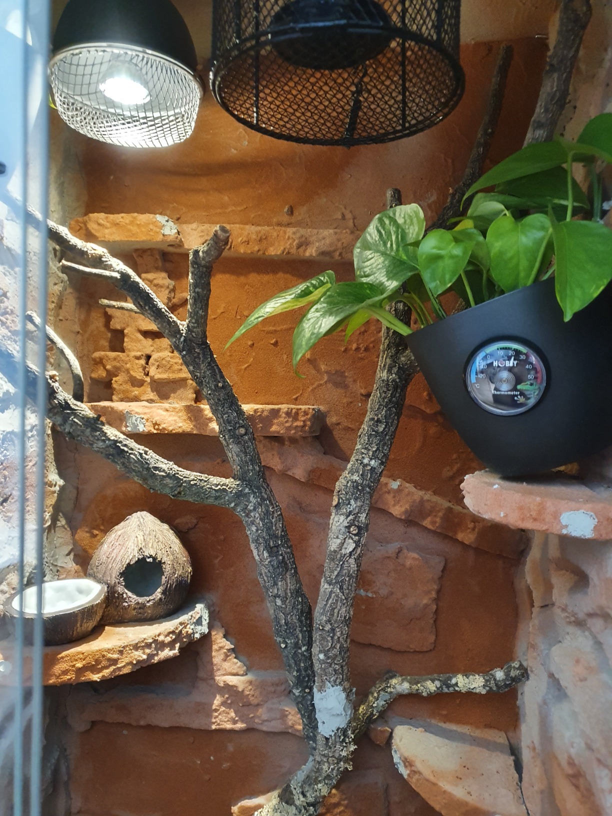 Repiterra Hoch-Terrarium 60x120x60 cm Frontbelüftung