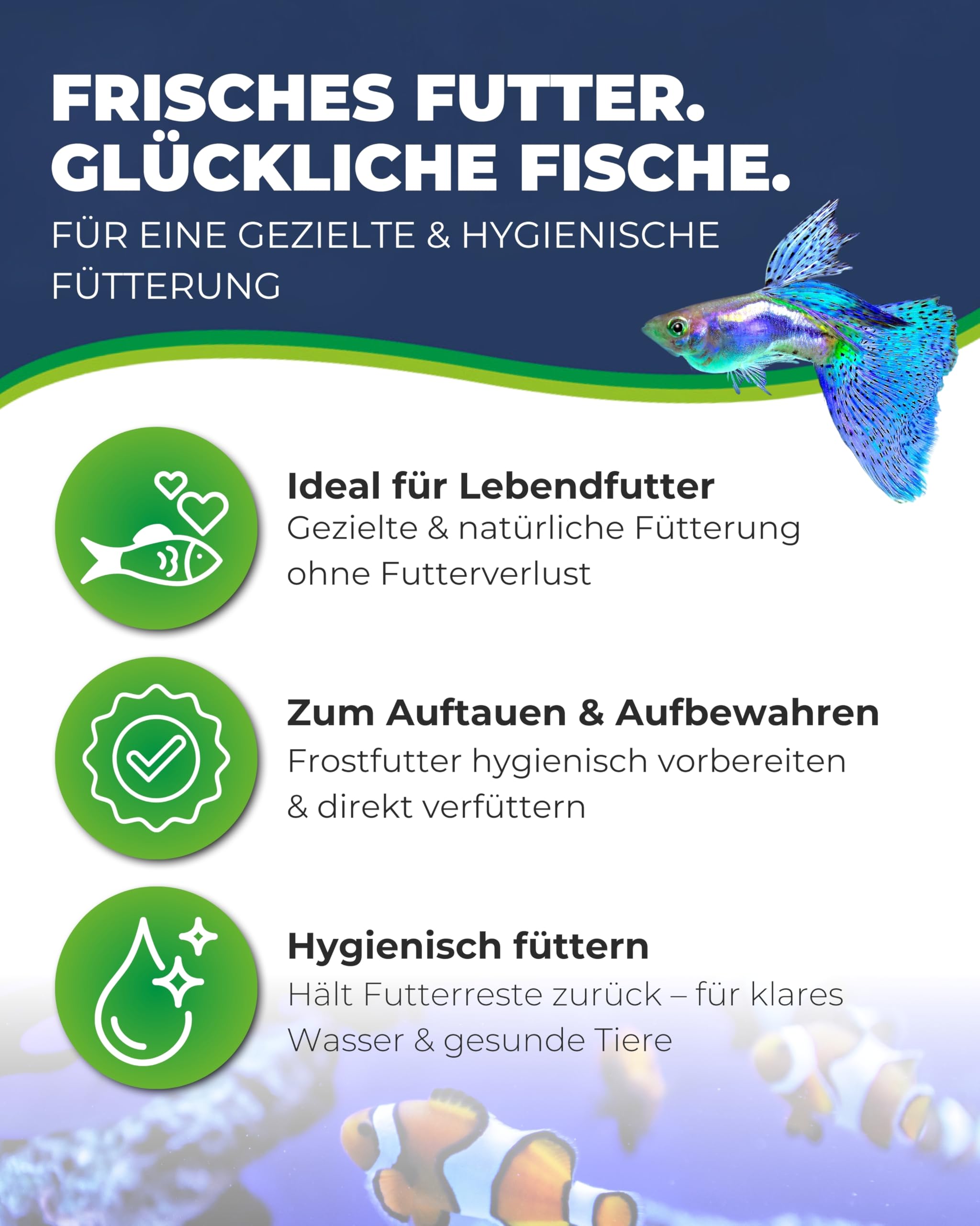 Hobby Multibox I Futterbehälter 10x10x6 cm mit Sieb