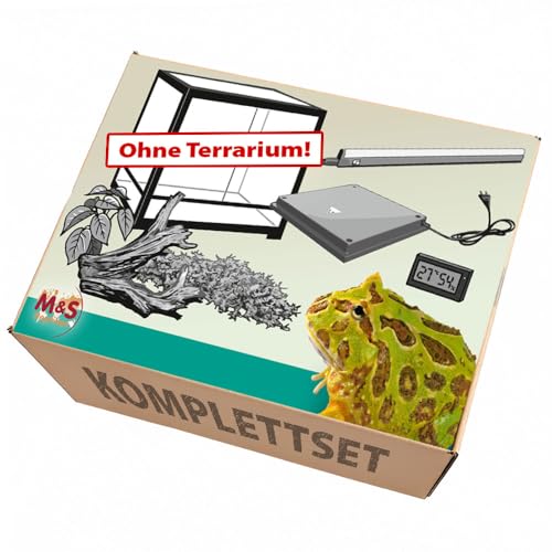 M&S Reptilien Komplettset Pacman-Frösche Zubehör ohne Terrarium