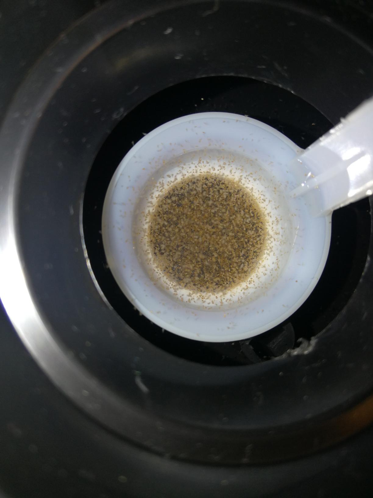 Hobby Artemia Aufzuchtschale mit Sieb und Löffel